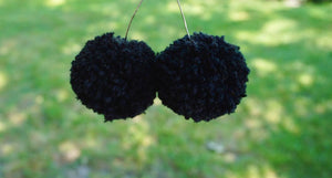 Black Pom Earrings